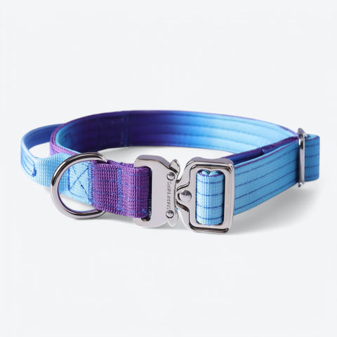 Comfort Control Collar Set - 90s Retro