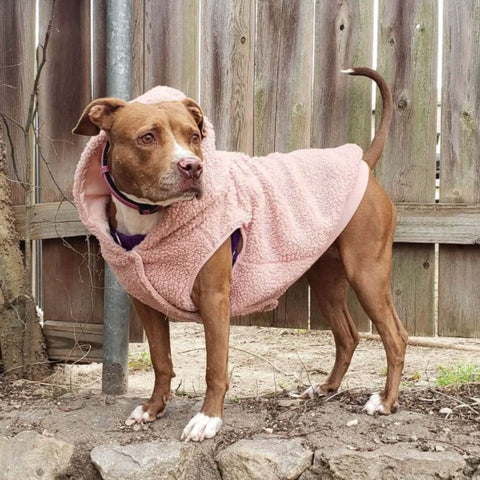 Teddy Sherpa Jacket - Pink
