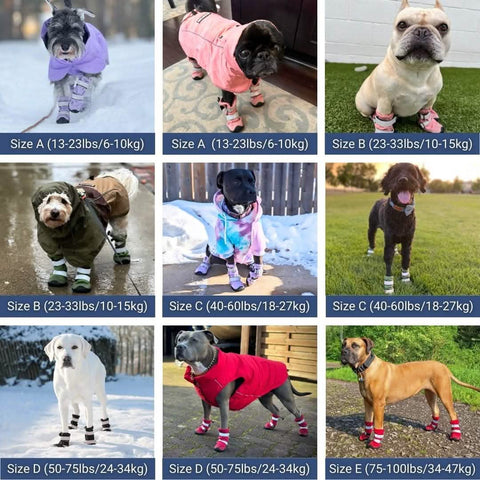 Flex Shell Waterproof Dog Boots - Lilac