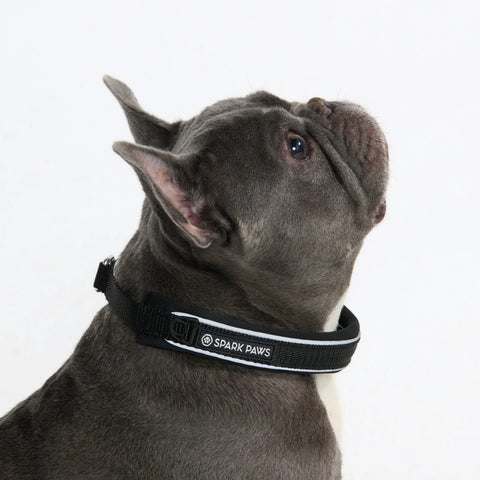 Cushioned Martingale Collars