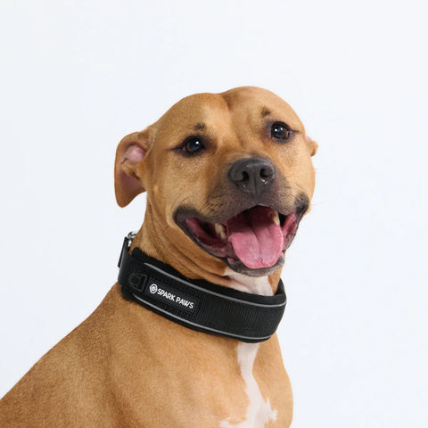 Cushioned Martingale Collars