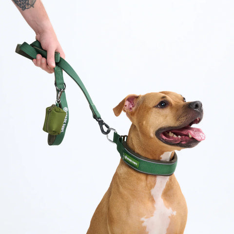 Cushioned Martingale Collars