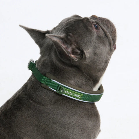 Cushioned Martingale Collar - Army Green