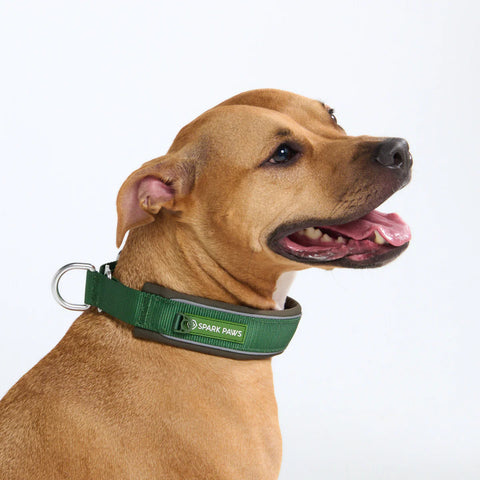 Cushioned Martingale Collars