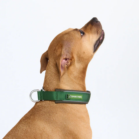 Cushioned Martingale Collars