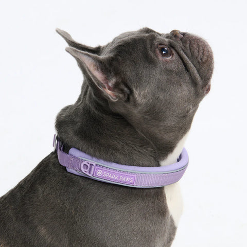 Cushioned Martingale Collars