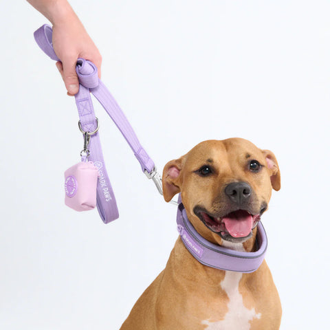 Cushioned Martingale Collars