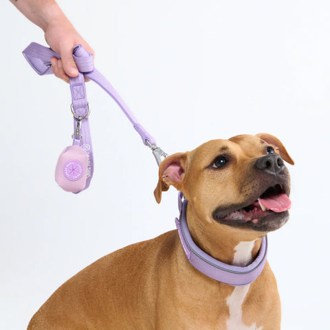 Cushioned Martingale Collars