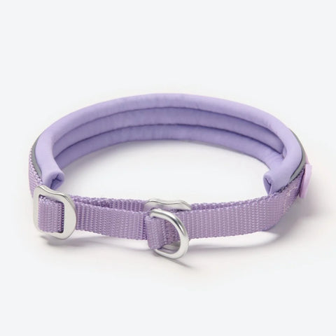 Cushioned Martingale Collar - Lilac