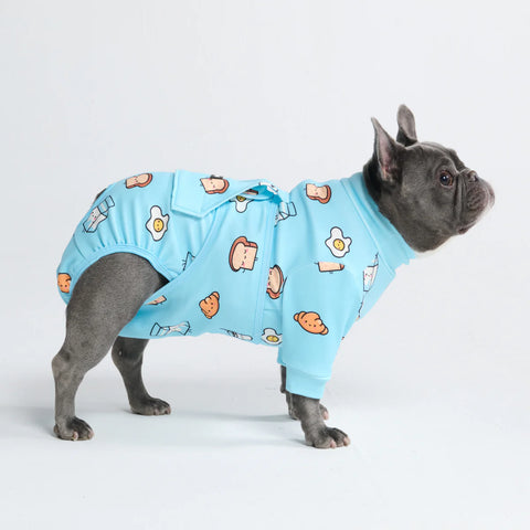 Dog Surgical Suit - Breakfast Blue