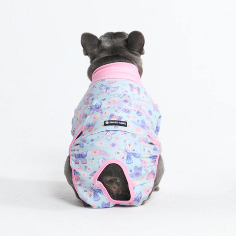 Dog Surgical Suit - Butterfly