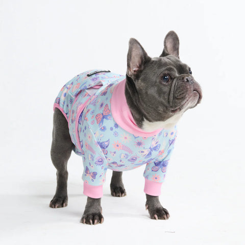 Dog Surgical Suit - Butterfly