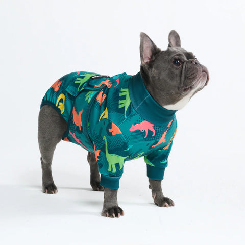 Dog Surgical Suit - Dinosaurs