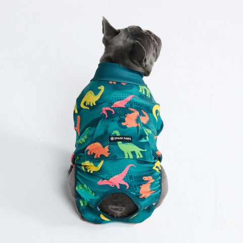 Dog Surgical Suit - Dinosaurs