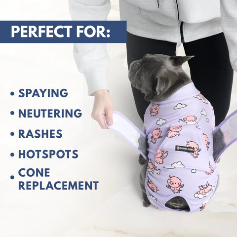 Dog Surgical Suit - When Pigs Fly