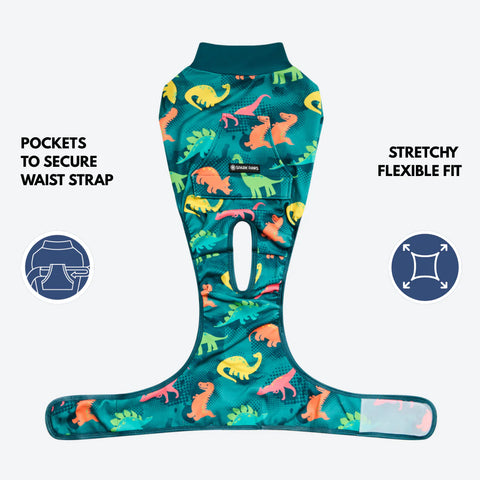 Dog Surgical Suit - Dinosaurs