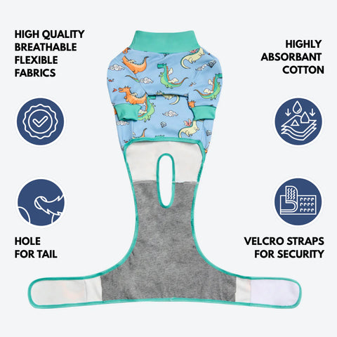 Dog Surgical Suit - Dragons