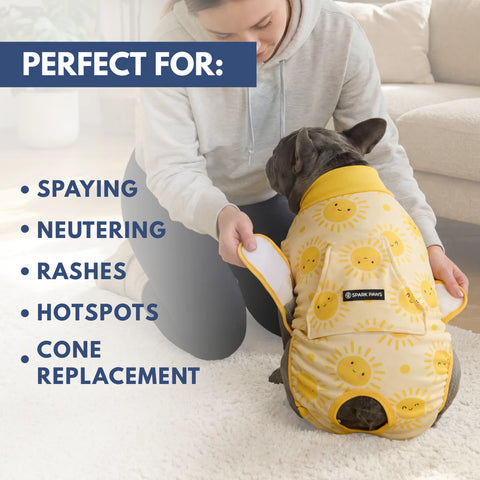 Dog Surgical Suit - Sunshine