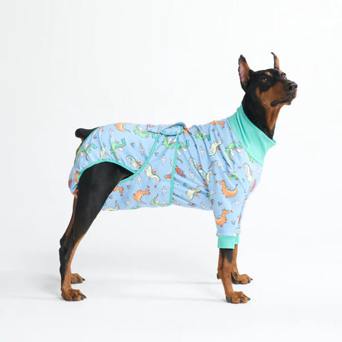 Dog Surgical Suit - Dragons