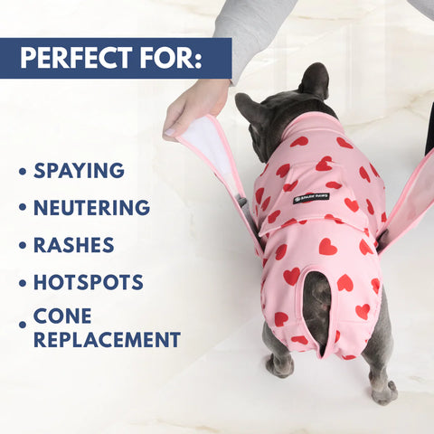 Dog Surgical Suit - Pink Hearts
