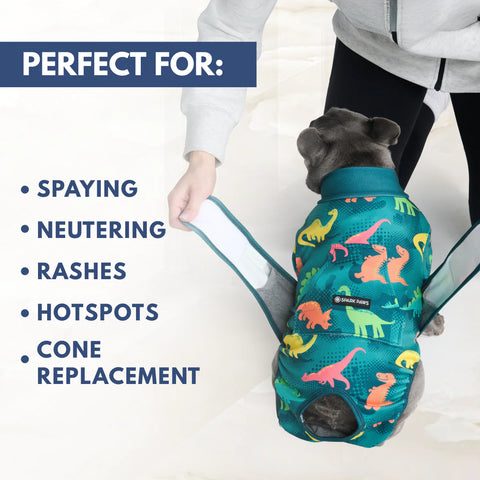 Dog Surgical Suit - Dinosaurs