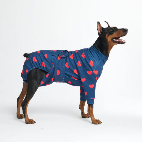Dog Surgical Suit - Hearts