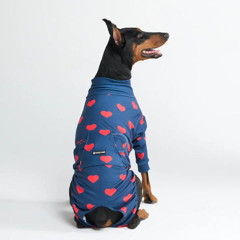 Dog Surgical Suit - Hearts