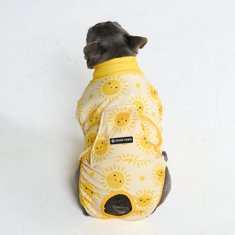 Dog Surgical Suit - Sunshine