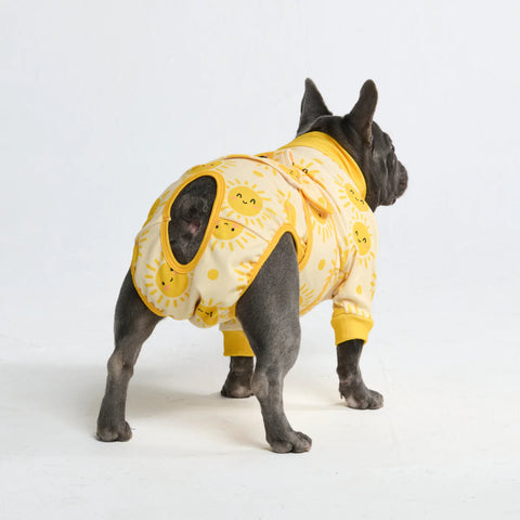 Dog Surgical Suit - Sunshine