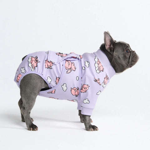Dog Surgical Suit - When Pigs Fly
