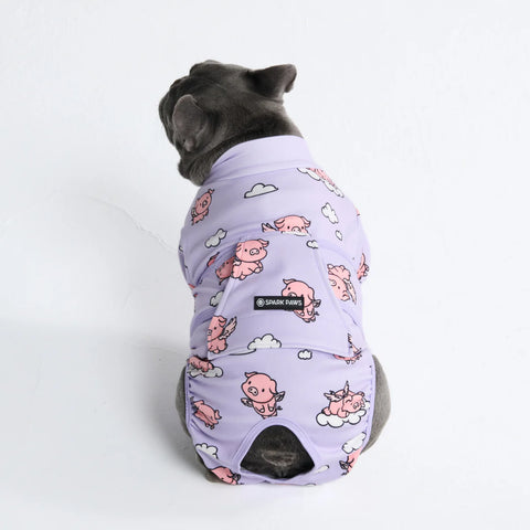 Dog Surgical Suit - When Pigs Fly