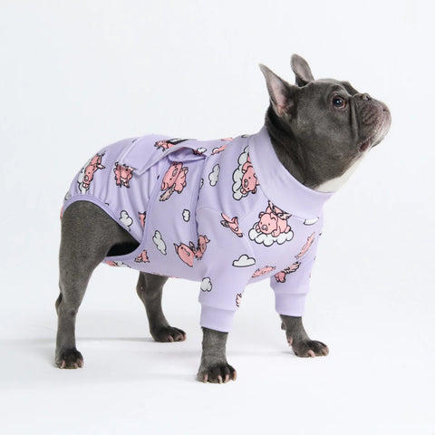 Dog Surgical Suit - When Pigs Fly