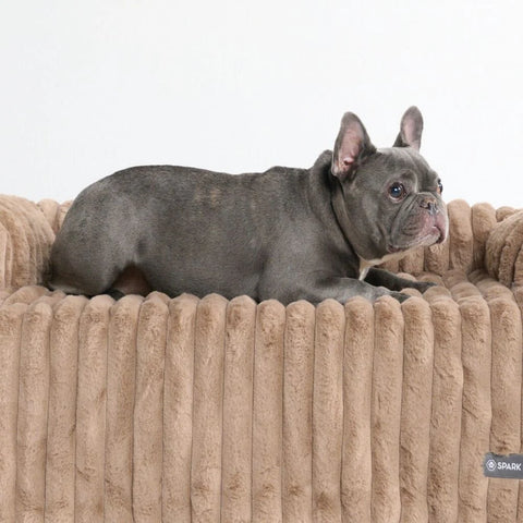 Luxury Couch Cover Dog Beds