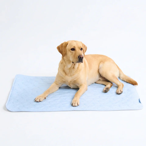 Frostcore™ Cooling Mat - Hearts Blue