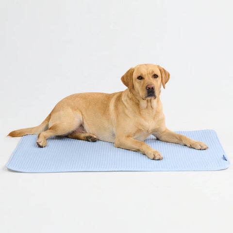 Frostcore™ Cooling Mat - Waffle Blue