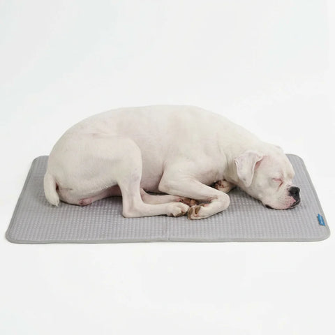 Frostcore™ Cooling Bed - Clouds Grey