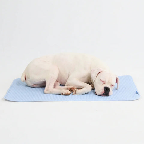 Frostcore™ Cooling Mat - Waffle Blue