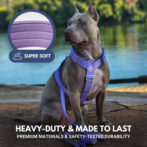 Comfort Control No-Pull Dog Harness Set - Lilac