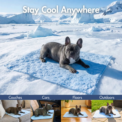 Frostcore™ Cooling Mat - Hearts Blue