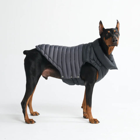 PuffShield Winter Jacket - Black