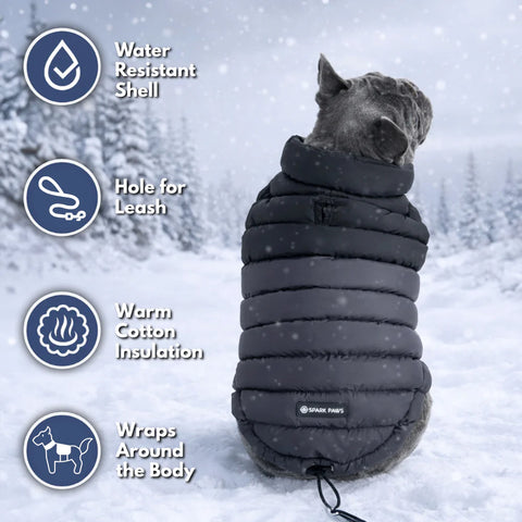 PuffShield Winter Jacket - Black