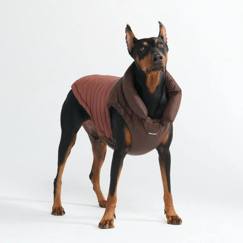 PuffShield Winter Jacket - Brown