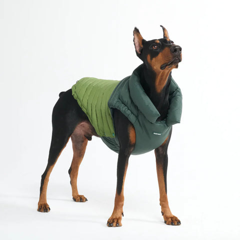 PuffShield Winter Jacket - Green
