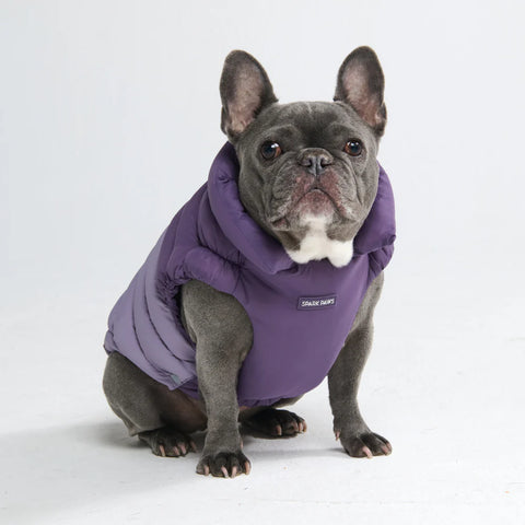 PuffShield Winter Jacket -  Purple