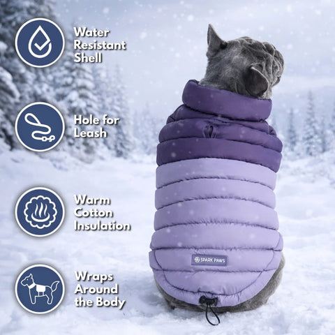 PuffShield Winter Jacket -  Purple