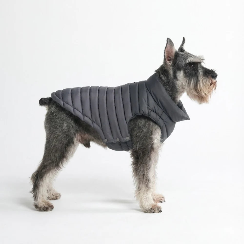 PuffShield Winter Jacket - Black