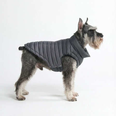 PuffShield Winter Jacket - Black