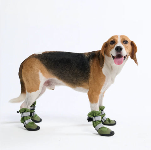 Flex Shell Waterproof Dog Boots - Green
