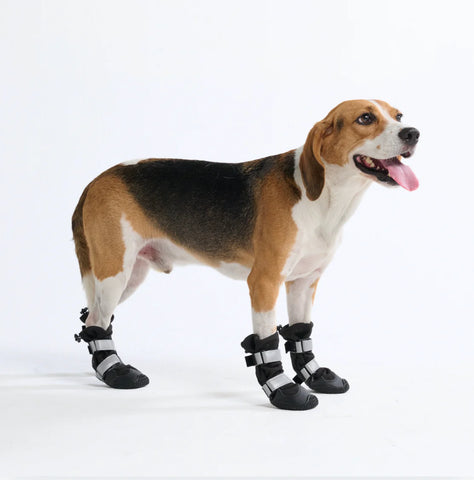 Flex Shell Waterproof Dog Boots - Black