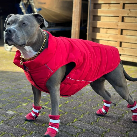 Flex Shell Waterproof Dog Boots - Red